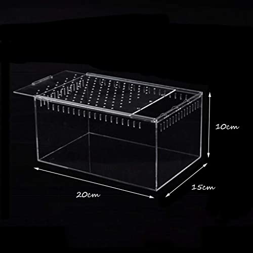 Terrarium pour reptiles transparent boîte d'élevage sans fuite pour serpent