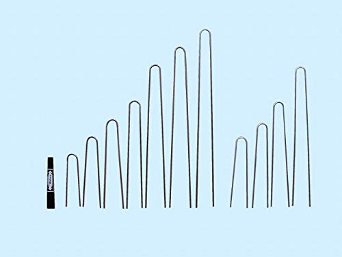 wAsY 25cm 200{ iV[gɁj