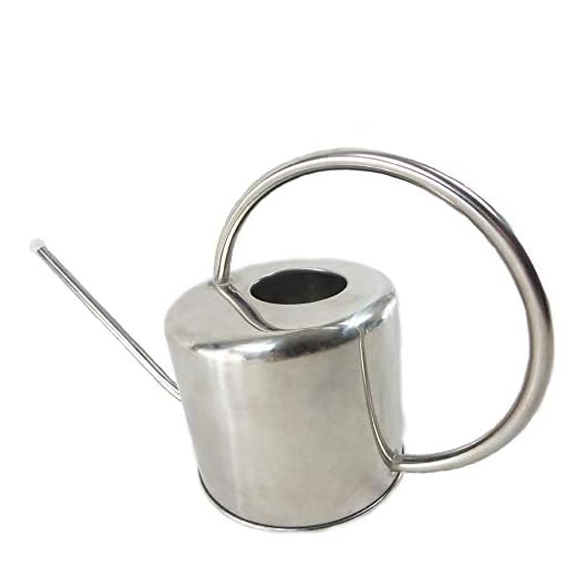 900 ml vattenkanna för inomhusbruk Bonsai borstat rostfritt stål lång pipe Modern vattenkanna lång munvattenkanna (färg, storlek: 36,5x13x17cm)