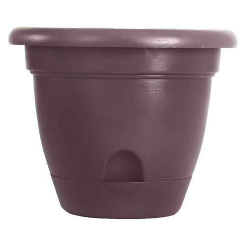 Bloem 818573011206 Living LP1856 Lucca Self-Watering Planter, 18-Inch, Exotica