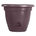 Bloem Living LP1856 Lucca Self-Watering Planter, 18-Inch, Exotica