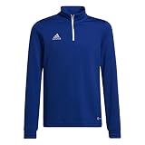 adidas Herren ent22 tr topy Sweatshirt, Team Royal Blue, 152 EU