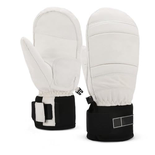 YƃfB[X̃XL[ƃXm[{[h̎܁AhAϊAϖՐ̒g܁AzCgAS