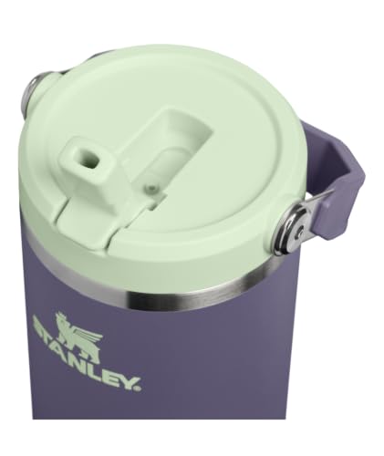 Image of STANLEY IceFlow 2.0 Flip Straw Tumbler with Handle 30 oz | Twist On Lid and Flip Up Straw | Leak Resistant Water Bottle | Insulated Stainless Steel | BPA-Free | Purple Umbra