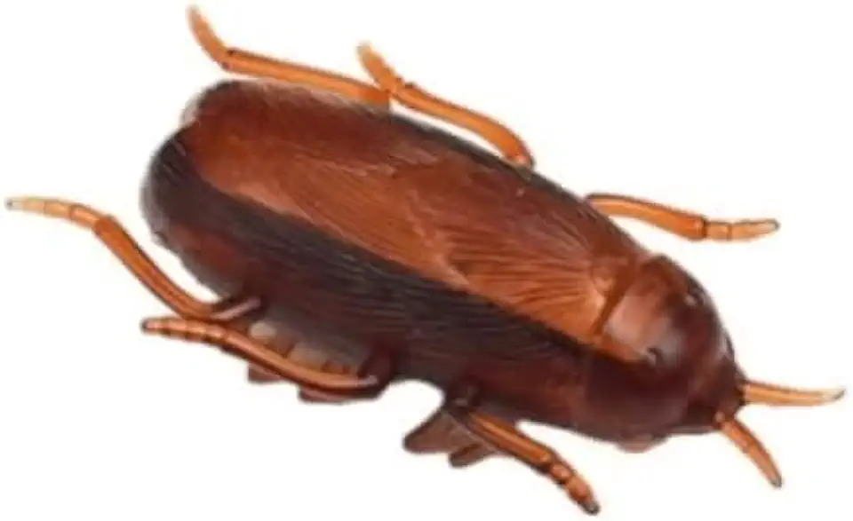TOY BOX Electric Realistic Cockroach