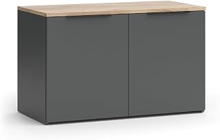 Vicco Credenza Wido, Antracite, 80 x 50 cm con 2 porte, adatto per riporre abiti e oggetti per la casa