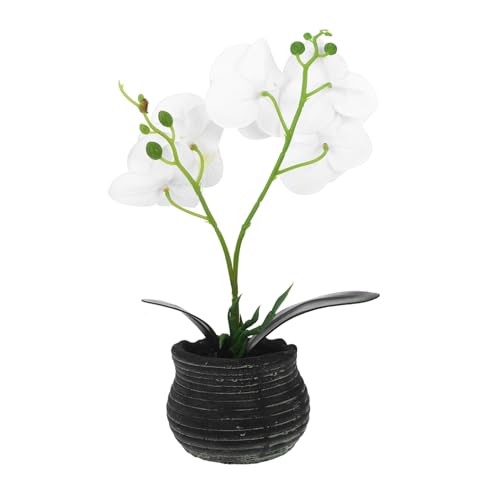 Garneck Planta Artificial De Maceta Falsa Bonsai Decorativo Cabezas Color Para Decoración Oficina Mononsoi Simulado
