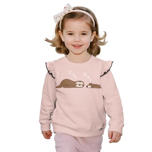 Cute Animal Sweatshirt Toddler Trendy Crew Neck Pullover Long Sleeve Hoodie Cute Tops for Pre-K Age 1-8 Years