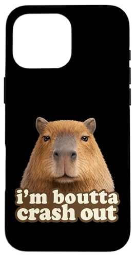 I'm Boutta Crash Out Silly Staring Capybara Meme �X�}�z�P�[�X iPhone 16 Pro Max �p