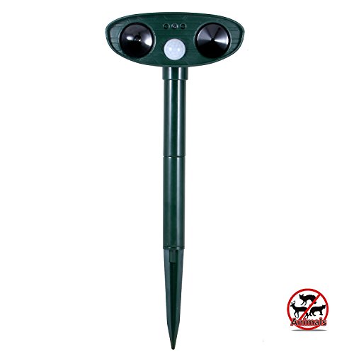 smarlance ultrasonic