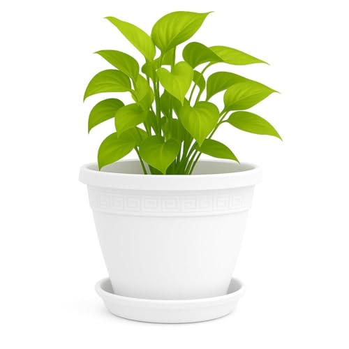 TECHZOCO Macetero con Plato, Maceta Redonda clásica de plástico con Plato, Tiesto para Plantas, Fabricado en Polipropileno, 33 cm Altura x 42 cm Diámetro Superior x 23 cm Diámetro Base, Blanco