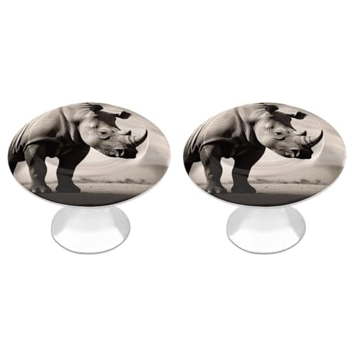 VstaDank South Africa Animal Cabinet Knobs, Stainless Steel Round Drawer Pulls, Kitchen Drawer Knobs Round Door Knob with Screw, Modern Cabinet Hardware for Home Closet Dresser Cabinet 2 Pack