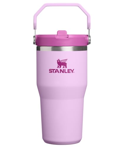 Image of STANLEY IceFlow 2.0 Flip Straw Tumbler with Handle 20 oz | Twist On Lid and Flip Up Straw | Leakproof Water Bottle | Insulated Stainless Steel | BPA-Free | Soft Orchid