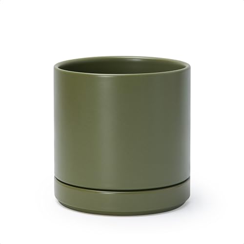 D’vine Dev 6.5 inch Olive Cylinder