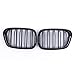 TIANYUAN Grille de Pare-Chocs Une Paire de grillades de Racing de Grille de Racines BM-W E39 5 Série 520 525 528 1999-2003 Accessoires Auto (Couleur: Brillant Noir) (Couleur : Gloss Black)