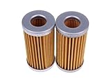 2 Pieces Fuel Filter 47797858 87300040 SBA360720130 — Compatible With CASE Fits Tractor D25 D29 D33