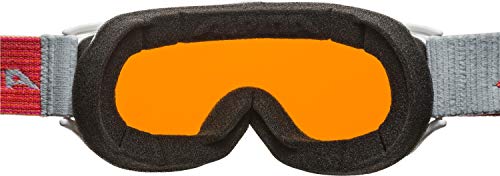 Skibrille Alpina Challenge 2.0 mit kontrastverstärkender und beschlagfreier Technologie