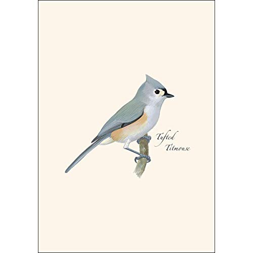 Image of Earth Sky + Water - Tufted Titmouse Notecard Set - 8 Blank Cards with Envelopes