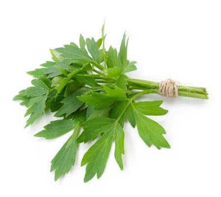 90pcs Lovage Vegetable Seeds