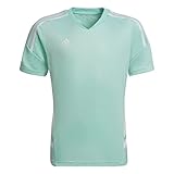 Adidas-Logo Adidas Unisex Kids CON22 JSY Y T-Shirt, Clear Mint, 1112