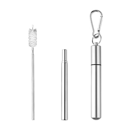 Sisadodo Collapsible Reusable Drinking Straws with Case
