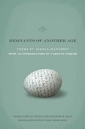 Remnants of Another Age Translation Edition book cover
