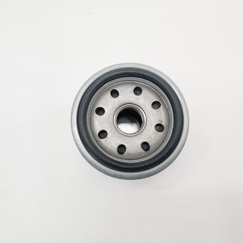 Filtro de aceite UTV ATV 250cc compatible con motores Massimo, Bennche y Linhai 5
