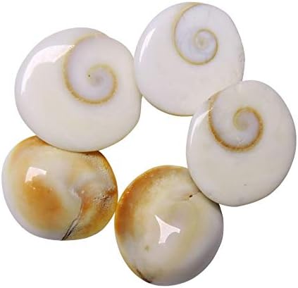21 Piece Natural Rare Gomti Chakra