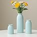 Ceramic Vase Set-3, Small Flower Vases for Decor, Modern Boho Farmhouse Style, Decorative Vases for Pampas Grass & Dried Flowers, Distressed Finish (Blue)