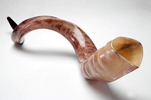 New Shofarot Israel Kosher Yemenite Kudo Kudu Shofar Size 27"-29" Full Polish With Free Olive Shofar Bag #TOP7