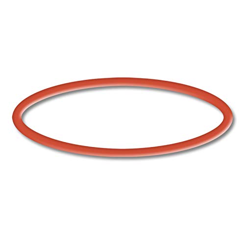 SunSun Ersatzteil für Schwimmbadpumpe O-Ring 4, leistungsstarke Poolfilteranlage, Filterpumpe mit hoher Förderleistung, robuste Pool Pumpe