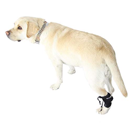 Ortocanis -Corrector Propioceptivo para Perros con lesión del nervio ciático, mielopatía degenerativa y Lesiones de Columna - Talla M Cover