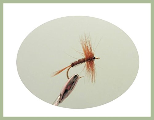 3 Mosche Ninfe Da Pesca Pheasant Tail – Grigio Con Coda Di Fagiano E Costola D'oro – Misura 14