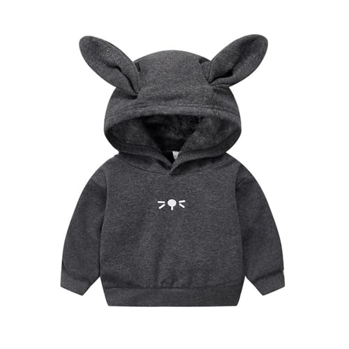 Toddler Boy Girl Outfit Long Rabbit Ear Hoodie Sweatshirt Pullover Long Sleeve Cute Bunny Hooded Clothing