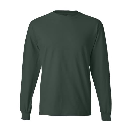 Hanes Camiseta masculina de manga comprida Beefy-T (pacote com 2), Floresta profunda, 3X-Large