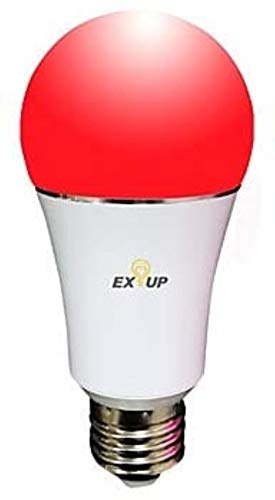 Ampoule LED 110V rouge de Noël pack de 5 petites bulles colorées pour lanterne de fête