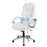 FDW Office Chair Massage Computer Chair High Back Adjustable Desk Chair Rolling Swivel Executive Chair PU Leather with Lumbar Support Arms Headrest Task Chair,White