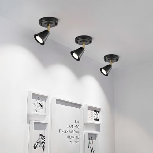 Image of Modern Flush Mount Ceiling Spot Light, Adjustable Directional Head, Black Spot Lights Indoor, Ceiling /Wall Mounted Single Track Light for Living Room, Corridor, Stairs.(2 Pack )