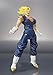 TAMASHII NATIONS Bandai Vegetto Dragon Ball Z S.H. Figuarts Action Figure
