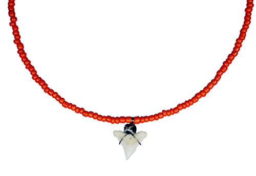 exoticdream Natural Shark Tooth Choker Necklace Colorful Beads Surfer Hawaiian Beach Girls