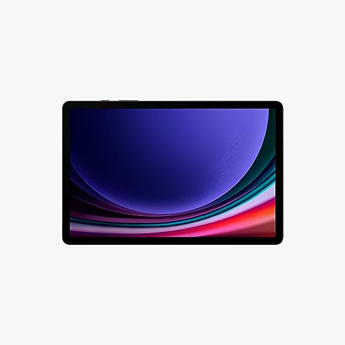 Tab S9 Grafite, 256GB, 11