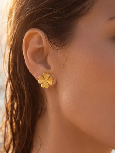 Image of Rubans Demi Fine Stainless Steel Stud Earrings Daily Gift for Women & Girls