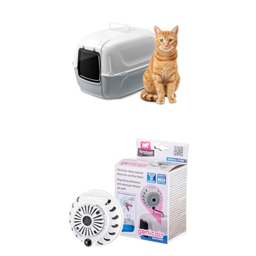 Collare e guinzaglio per cani con cuello ajustable 26-40 cm en nylon resistente 2