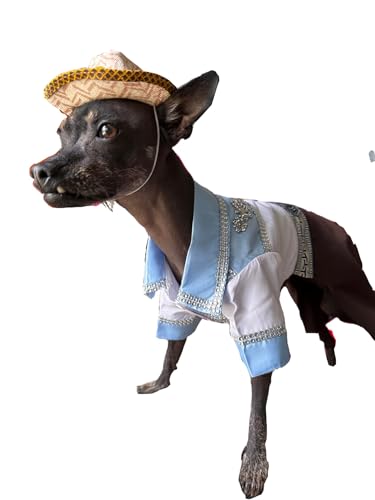 Disfraz de vaquero para perro pequeño