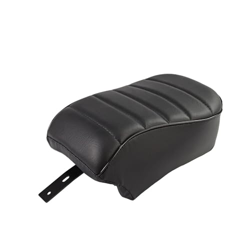 Siège moto passager arrière en PU pour explorer les routes en Sportster Iron 883
