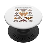 Photo Gallery falene farfalle identificazione farfalle entomologia natura popsockets popgrip adesivo Photo Gallery falene farfalle identificazione farfalle entomologia natura popsockets popgrip adesivo