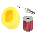AHL Air Filter 13780-02C00 13780-02C10 & Oil filter & Spark plug Compatible with Suzuki LTF160 QuadRunner 1991-2004/LT160 E QuadRunner 1989-1992/LT 160 QuadRunner 2003-2004