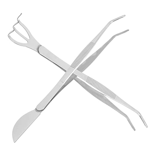 VICASKY Kleiner Rechen Aus Edelstahl Für Bonsai-pflege Mit Pinzette Zum Entfernen Von Moos Und Knospen Robust Und Rostfrei Für Anfänger Und Profis VICASKY Kleiner Rechen Aus Edelstahl Für Bonsai-pflege Mit Pinzette Zum Entfernen Von Moos Und Knospen Robust Und Rostfrei Für Anfänger Und Profis