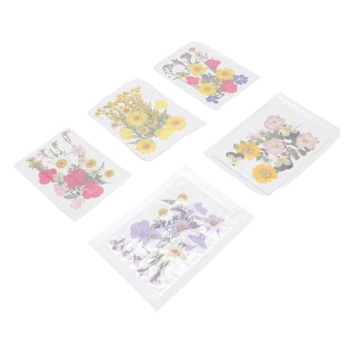 100 piezas flores secas prensadas para manualidades miniatura 2