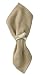 Songbird Bird on Tree Branch Metal Napkin Rings Set of 4